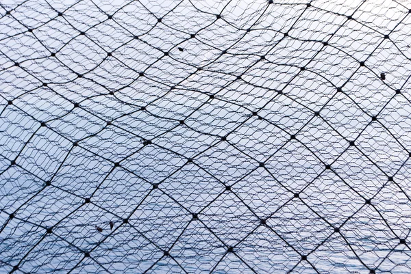 Çelik tel — Stok fotoğraf