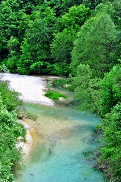 Rivière d'herbe — Photo
