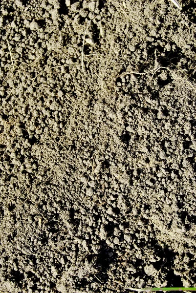 Gleby świeże — Zdjęcie stockowe