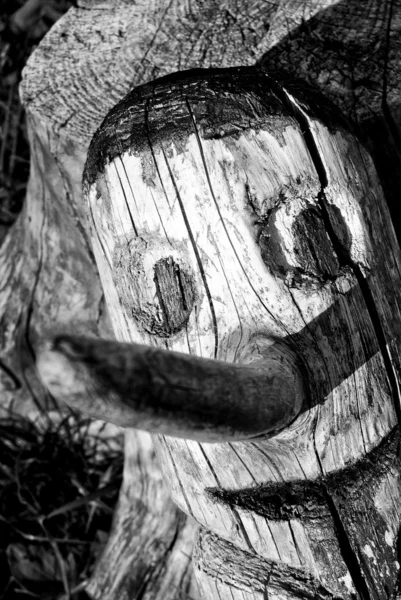 Pinocchio di legno — Foto Stock