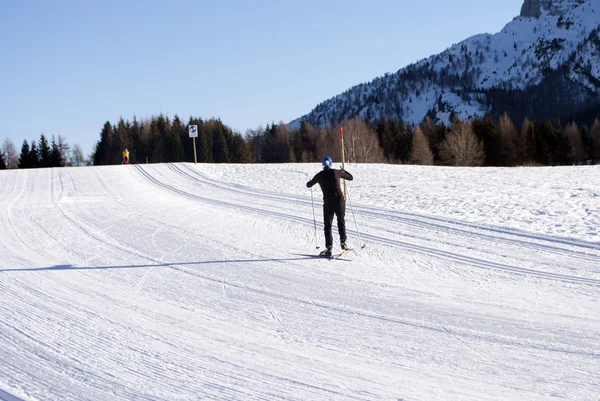 Esquí de campo —  Fotos de Stock