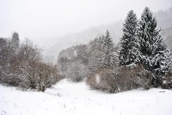 Paisaje invierno — Foto de Stock