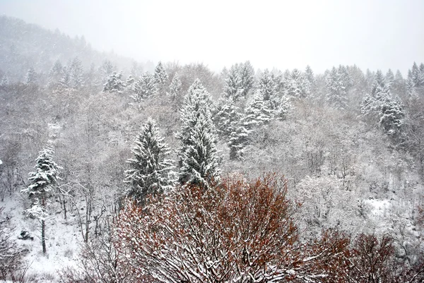 Nieves. —  Fotos de Stock
