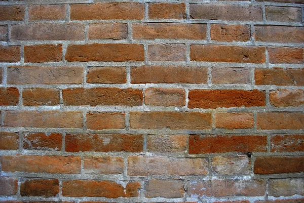 Brick footpath — Stock Photo, Image