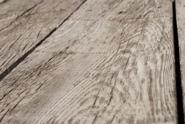 Textura de madera de haya — Foto de Stock
