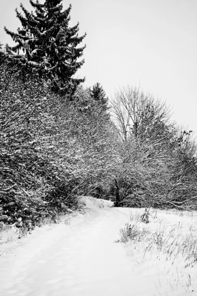 Sneeuw in de bergen — Stockfoto