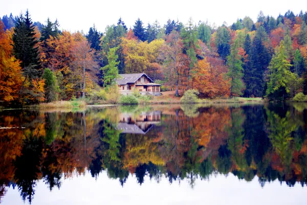 Будинок в лісі Ліцензійні Стокові Фото