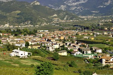 Town of Trentino clipart