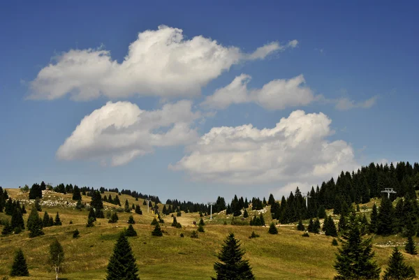 Альпийское плато — стоковое фото