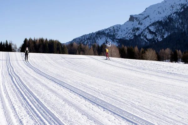 Esquí de campo — Foto de Stock