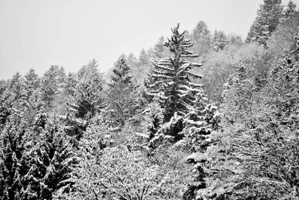 Neve nas montanhas — Fotografia de Stock