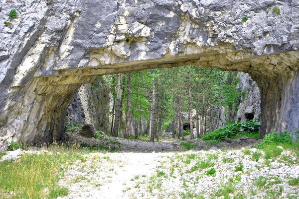 Тоннели в скале — стоковое фото