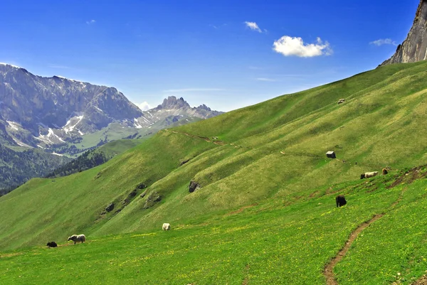 Dolomit dağlar — Stok fotoğraf