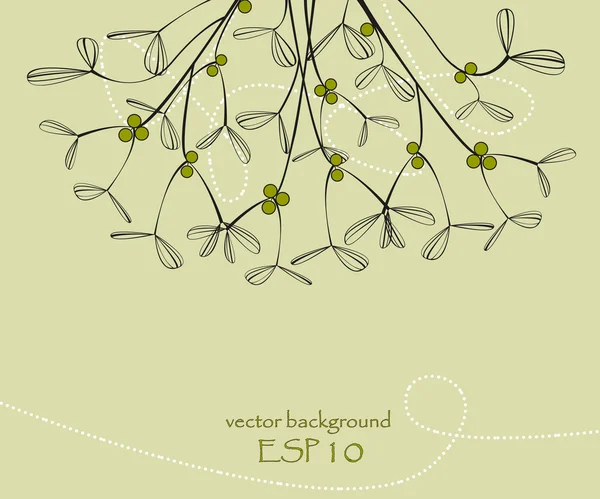 Mistletoe — Stock Vector