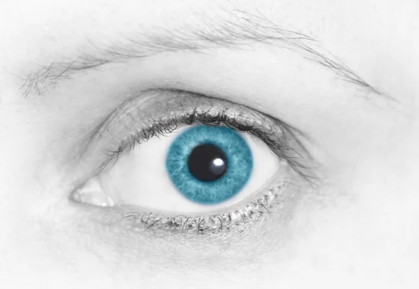 stock image Black and white picture of eye with blue iris