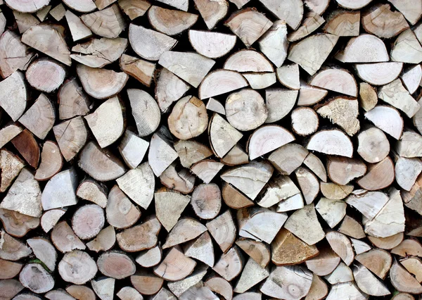 Holzstämme für Brennholz. — Stockfoto