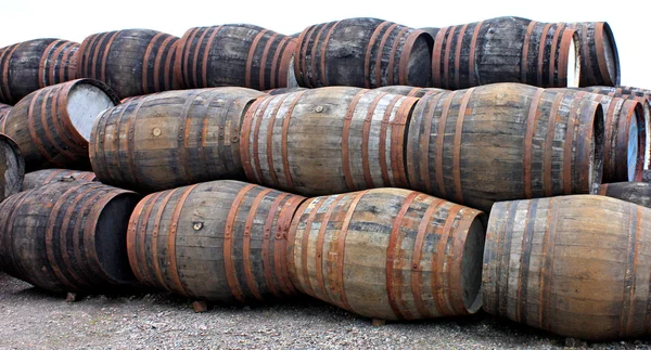 Barili di whisky . — Foto Stock