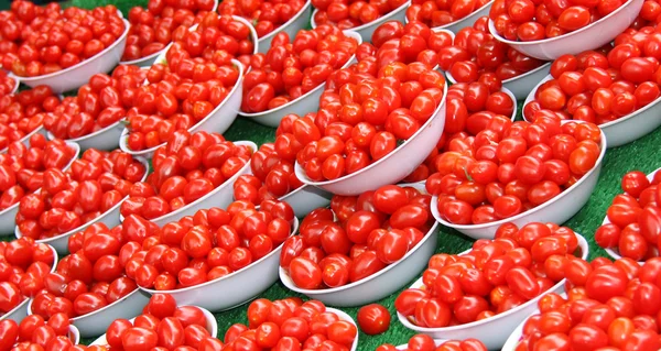 매 화 토마토 — 스톡 사진