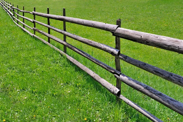 Yeşil çayır çit — Stok fotoğraf