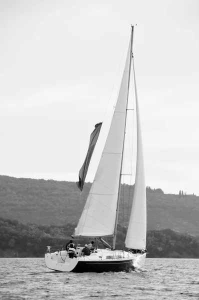 Yacht a vela bianco e nero — Foto Stock