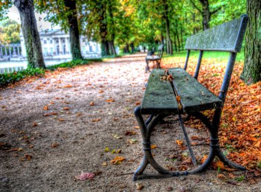 Empty bench in lazienki park, warsaw, poland clipart