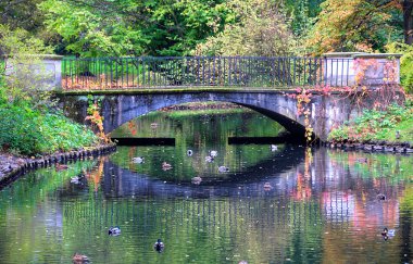 Bridge in lazienki park, warsaw, poland clipart