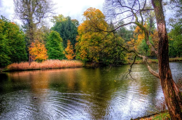 Árboles de otoño en el parque Lazienki, sierra, Polonia — Foto de Stock