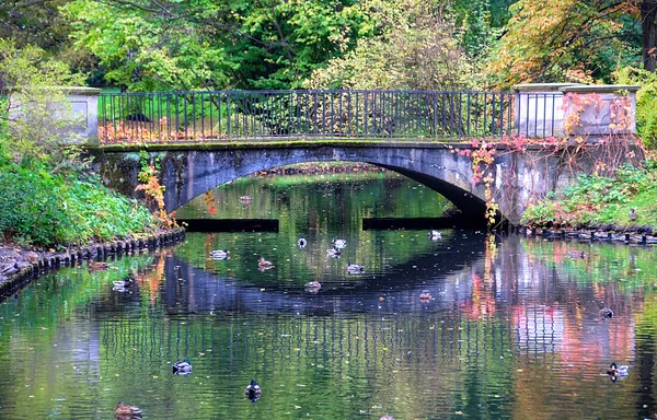 Brücke im Park von Lazienki, Warschau, Polen — Stockfoto