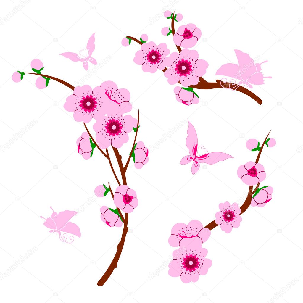 Stock Illustration Sakura Elements