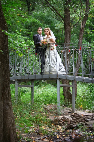 stock image Bride and groom on bridge