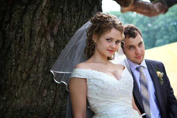 Sposa e sposo vicino quercia — Foto Stock