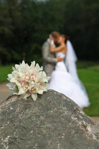 Bride and groom kissing — Stock Photo, Image
