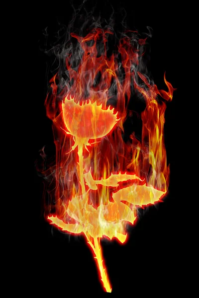 Hořící růže — Stock fotografie