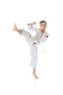 genç çocuk eğitim karate.