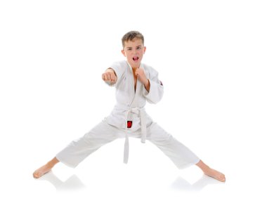 Young boy training karate. clipart