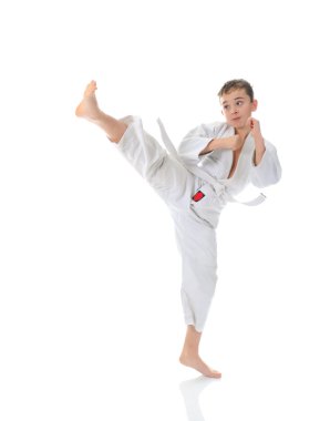 Young boy training karate. clipart