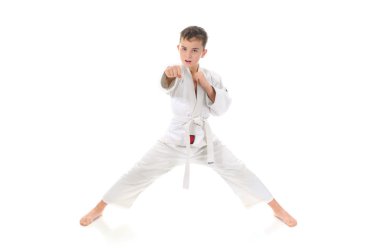 genç çocuk eğitim karate.