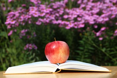 Apple with Book in Garden clipart
