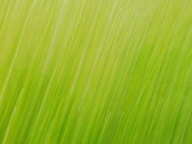 Grass - Taken with Speed clipart