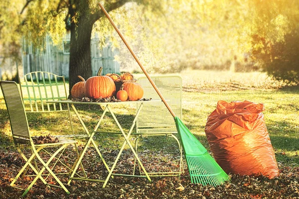Убираем листья и готовимся к Хэллоуину — стоковое фото
