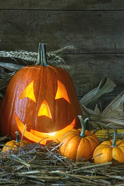 Vyřezávané jack-o lucernou osvětlená pro halloween — Stock fotografie