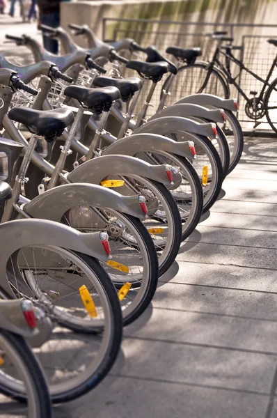 stock image Parking of bicycles in Paris