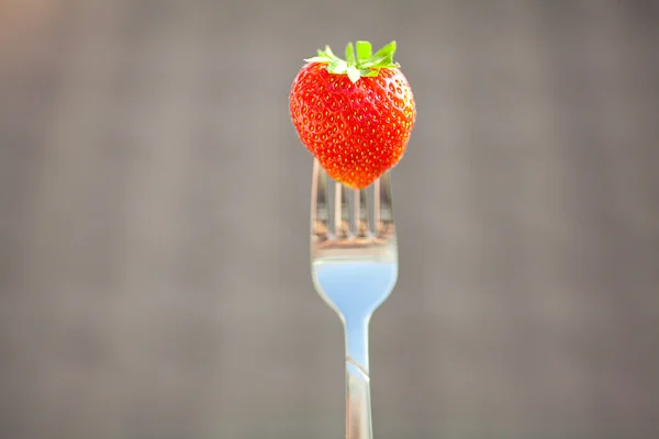 Strawberry on a fork in the daylight — Stock Photo, Image
