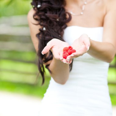 Juicy red raspberries in the hands of the bride clipart