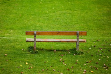 Lone bench on green grass background clipart