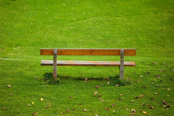 Lone bench on green grass background — Stock Photo, Image