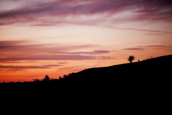 Árvore solitária na montanha ao pôr do sol — Fotografia de Stock