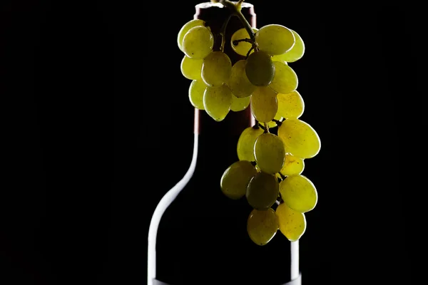 ボトル入りワインと黒の背景にブドウの房 — ストック写真