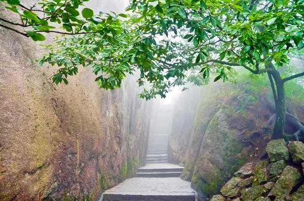 Chemin zen chinois de montagne — Photo