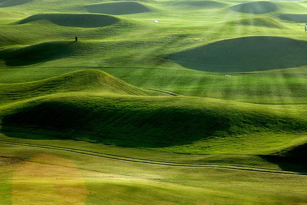 좋은 녹색 골프 장소 — 스톡 사진